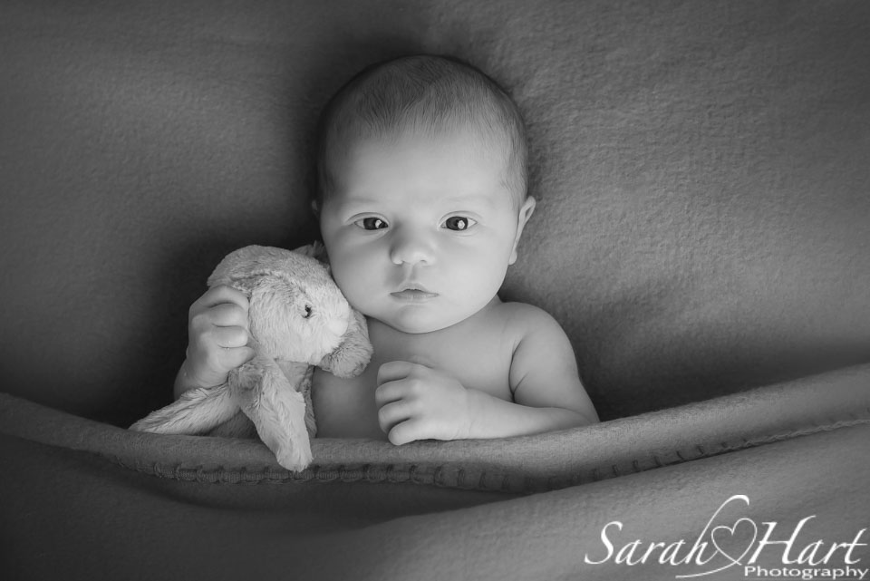 Baby and bunny, newborn photographer in Tonbridge, Kent, Sarah Hart Photography
