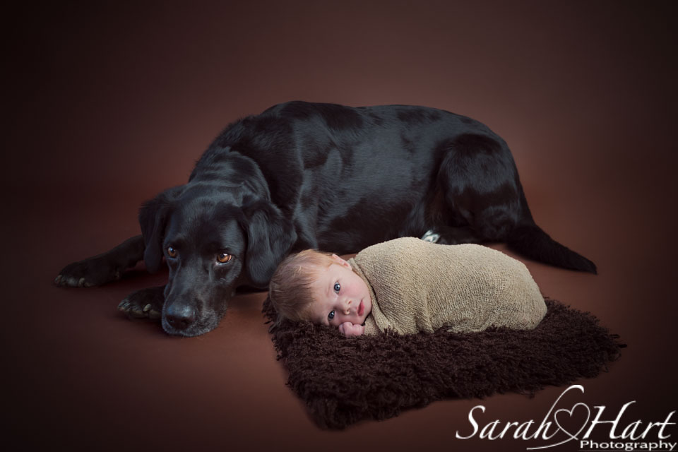 newborn and dog image, Kent photography studio