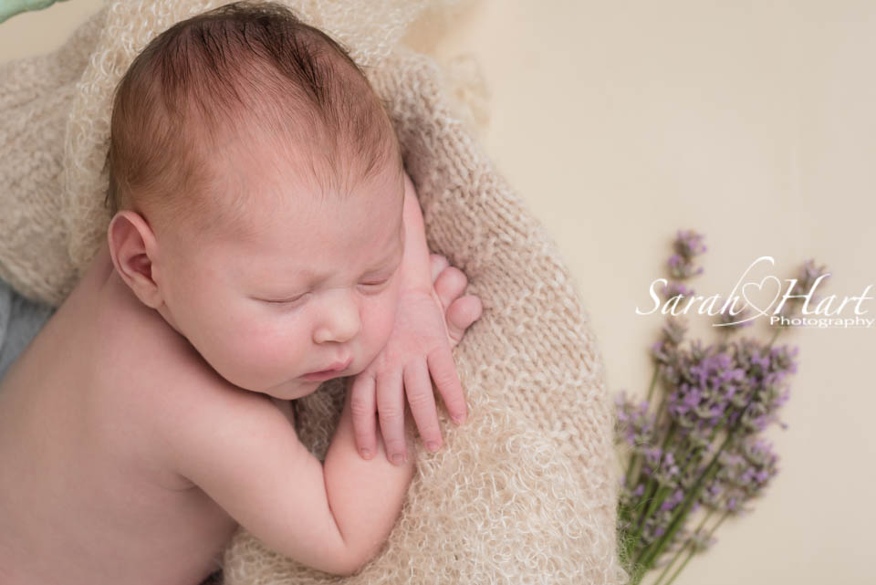 Newborn with lavender, personalising a newborn photoshoot