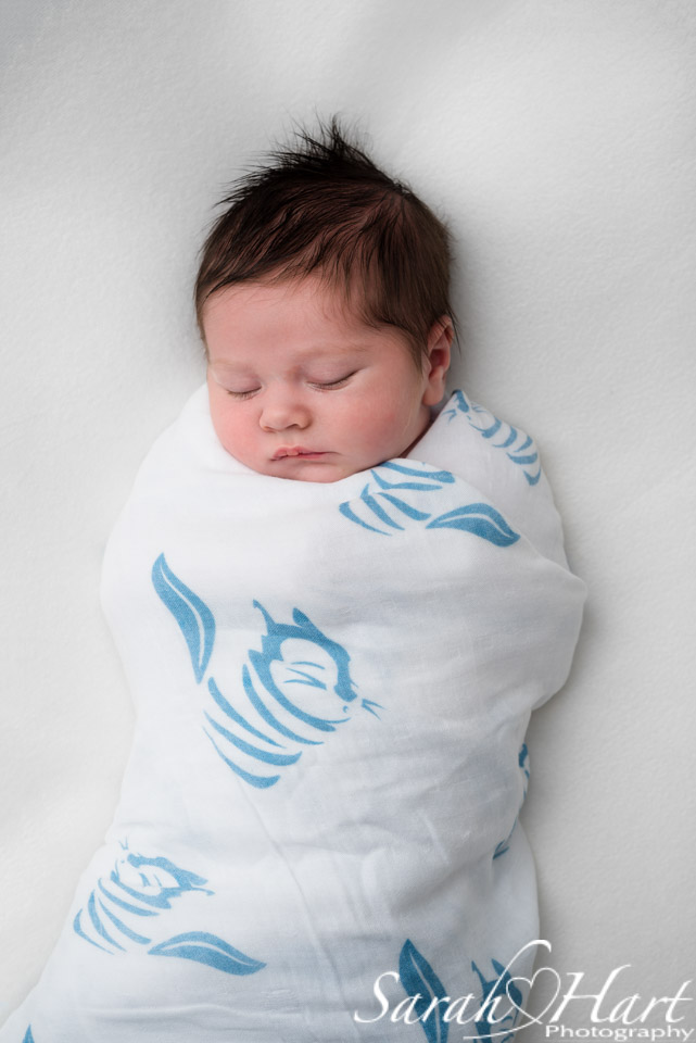 swaddle your baby in Tiny Chipmunk swaddles
