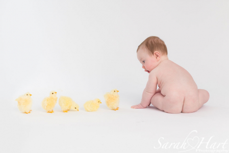 bare bottom baby with baby chicks, spring photoshoot in maidstone