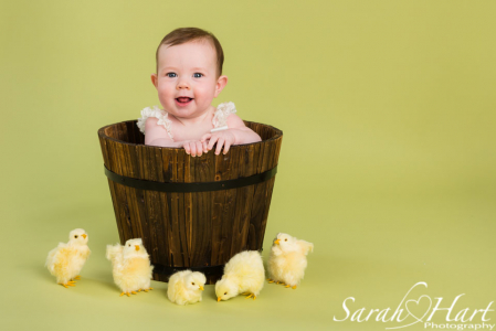 green backdrop, girl in bucket with chicks, Tonbridge Spring photo sessions