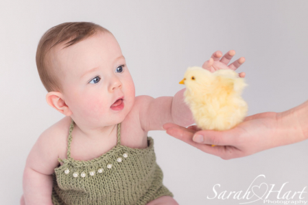 baby girl reaching for chick, Tunbridge Wells baby photographer