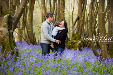 Family photos in bluebells,  Tonbridge and West Kent Family photographer