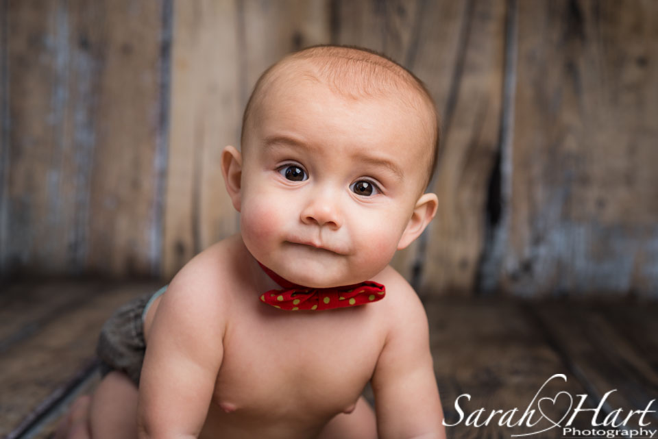 hello! 6 month baby photo session, wooden backdrop