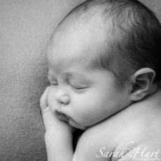 Sarah Hart Newborn Photography