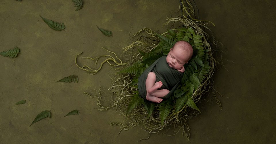 baby on fern basket, fern leaves and dark green tones, baby pics kent