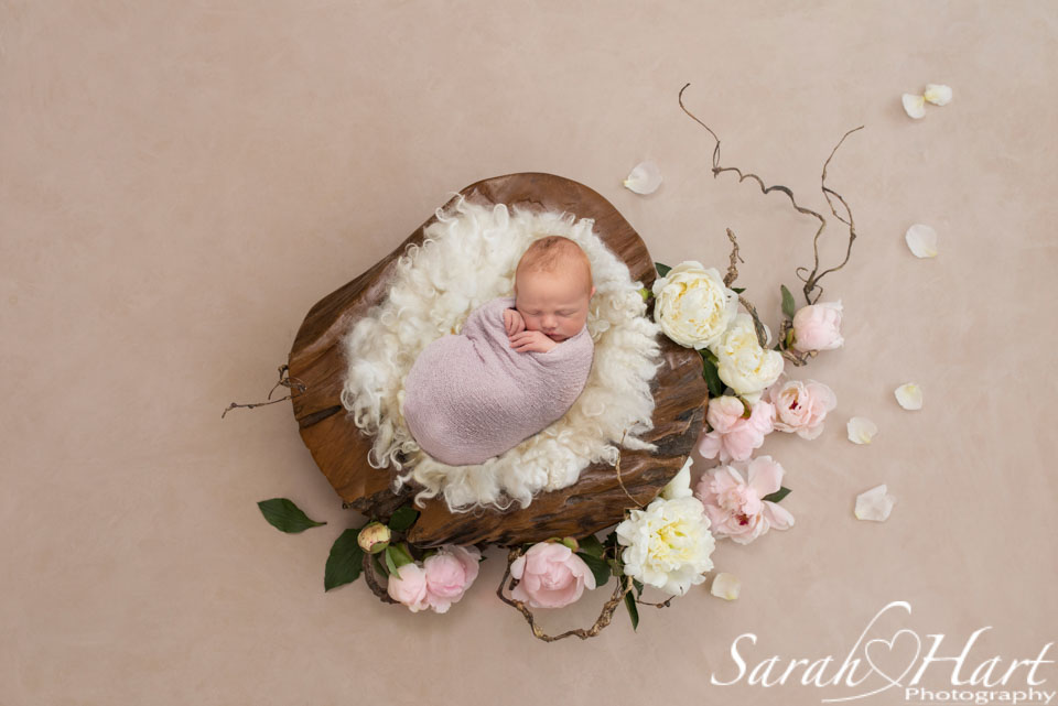 stunning newborn photography, wall art, floral design for newborn in bowl