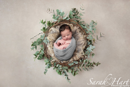 specialist newborn photographer kent, baby boy in nest