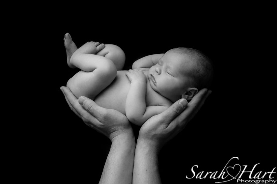 Stunning black and white newborn portrait. Baby in parents hands