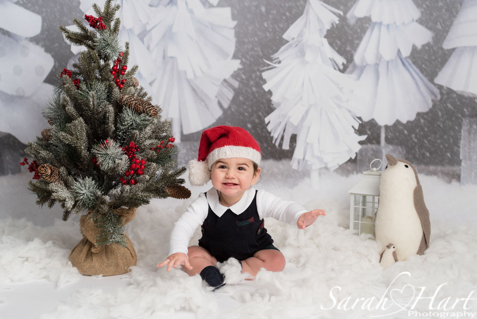 Christmas mini session, with tree and penguin, family photography kent