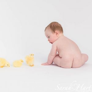 baby photography session showing a baby's bottom facing some chicks