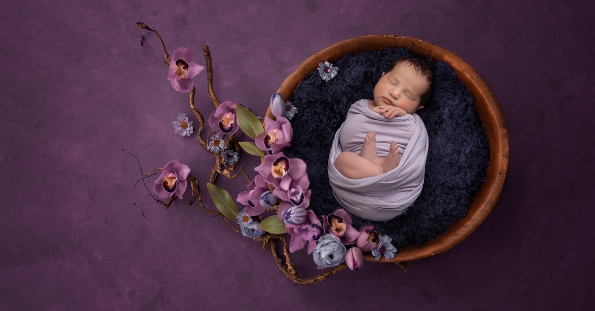 Baby in bowl, orchids, plum and purple tones